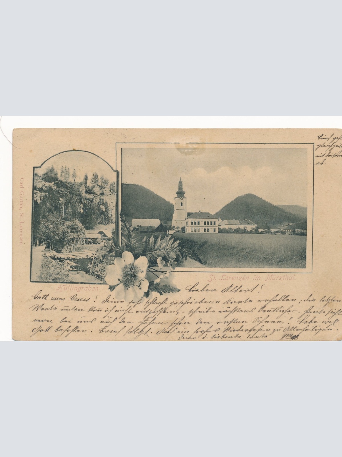 AK aus St. Lorenzen im Mürzthal Steiermark Ansichtskarte (13389)