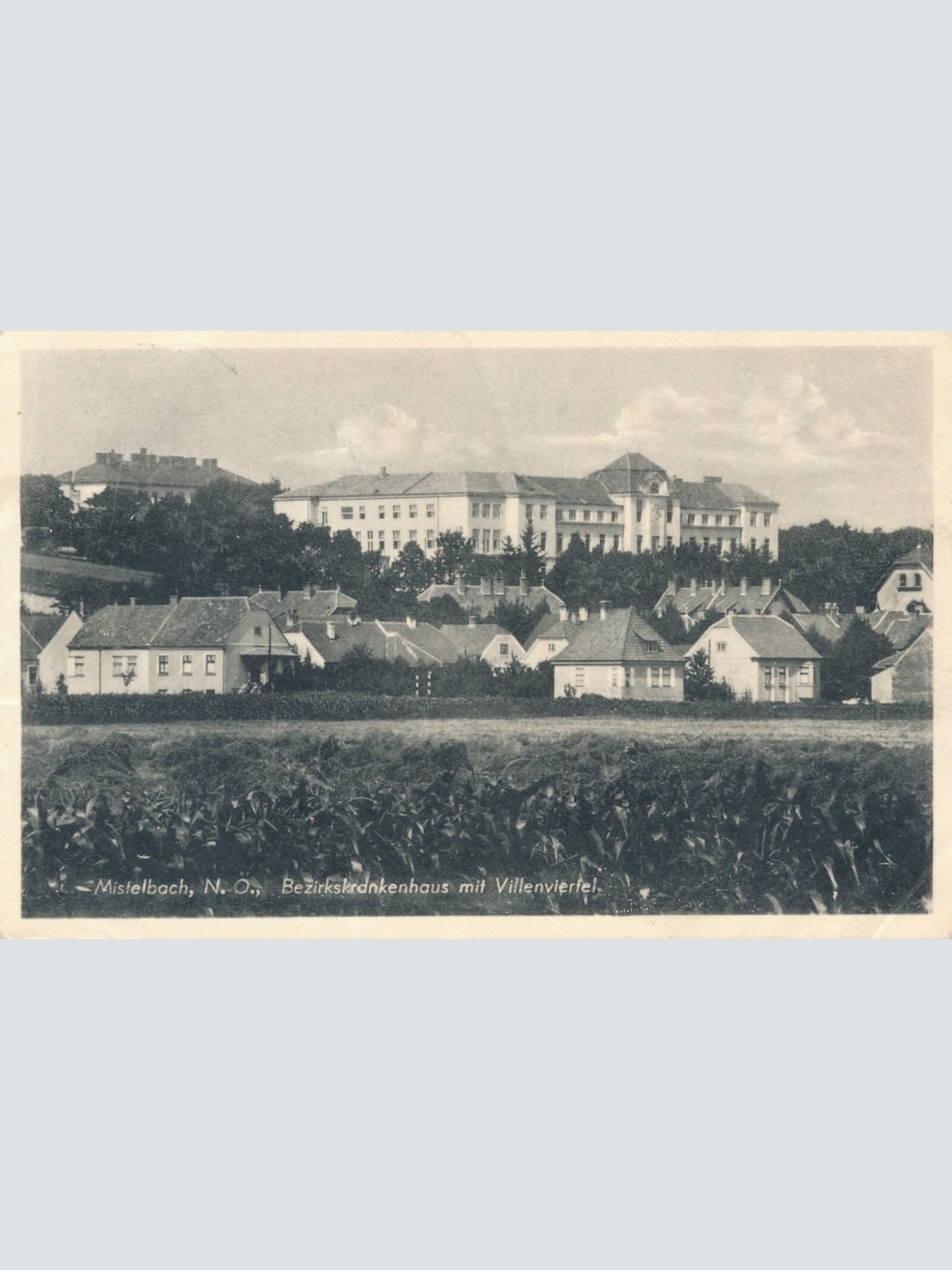 AK, Mistelbach, Niederösterreich (S3452)