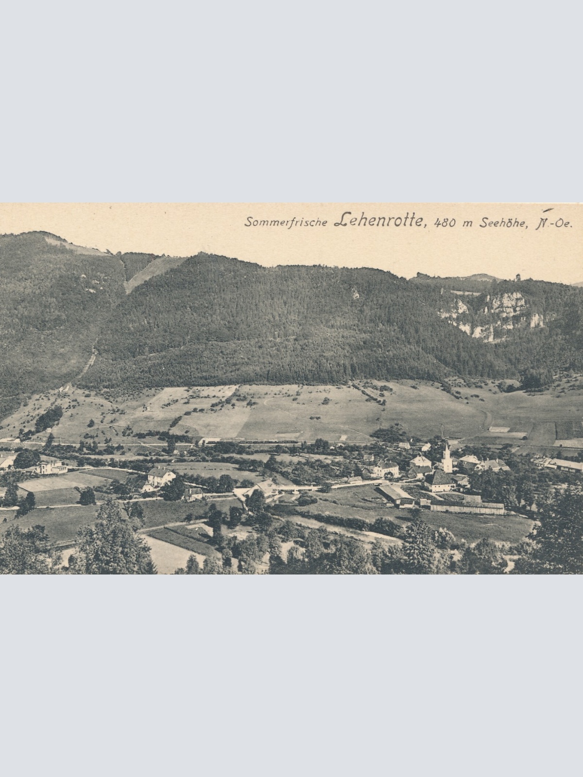 AK, Lehenrotte, Niederösterreich (S3398)