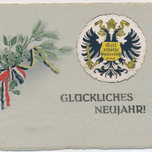 AK, Glückliches Neujahr, Gott schütze Österreich, Ansichtskarte (S3665)