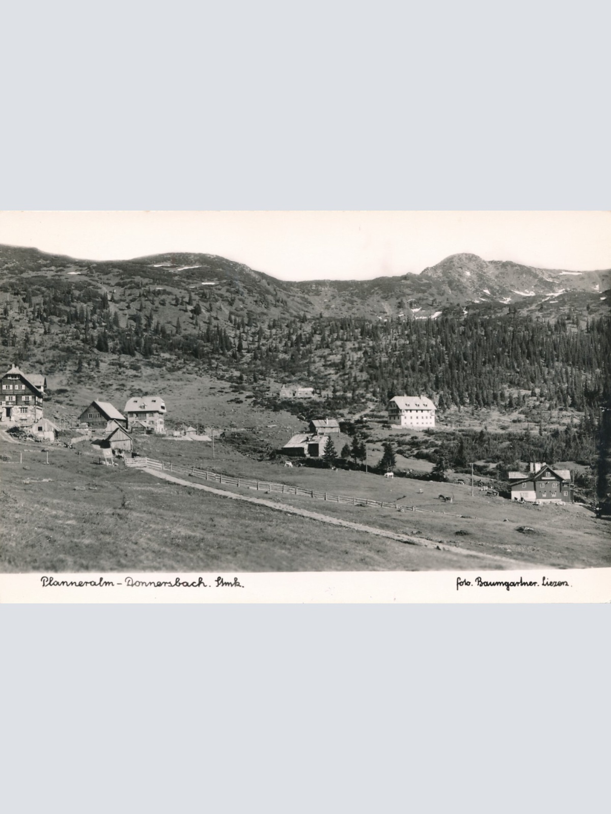 AK, Planneralm Donnersbach, Steiermark (S3494)
