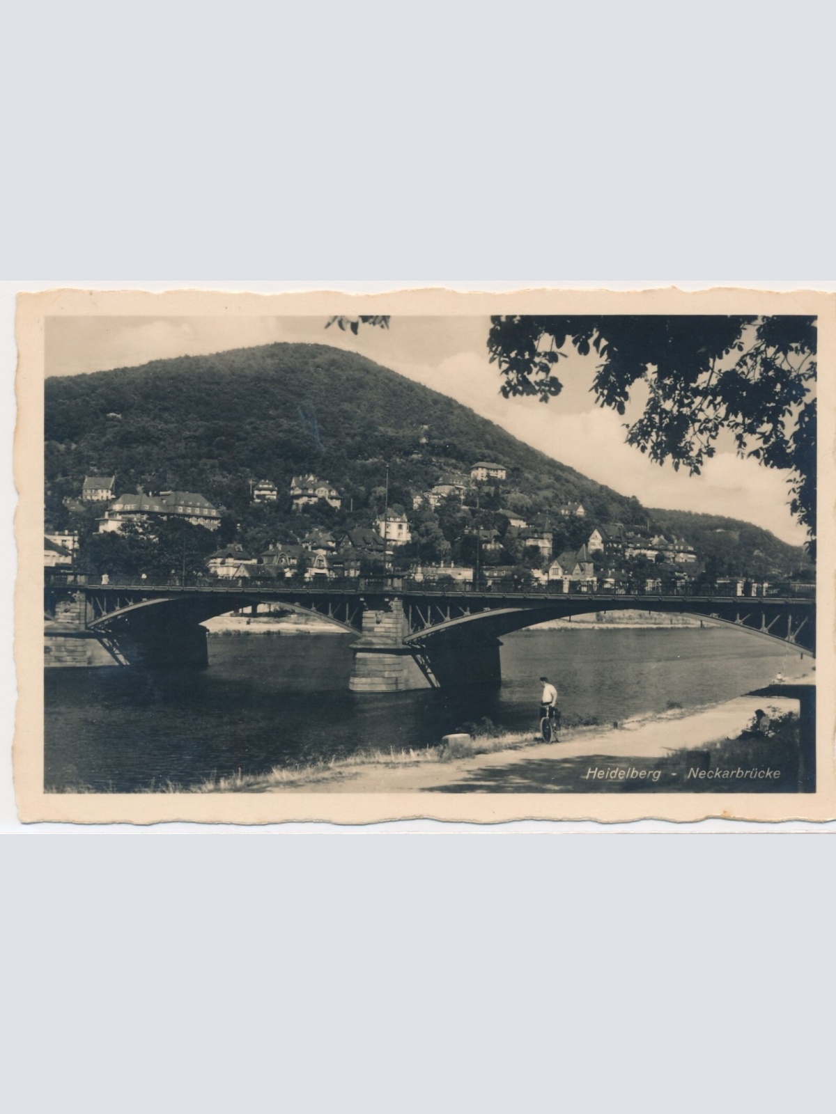 AK, Heidelberg, Baden-Württemberg, Ansichtskarte (S3799)