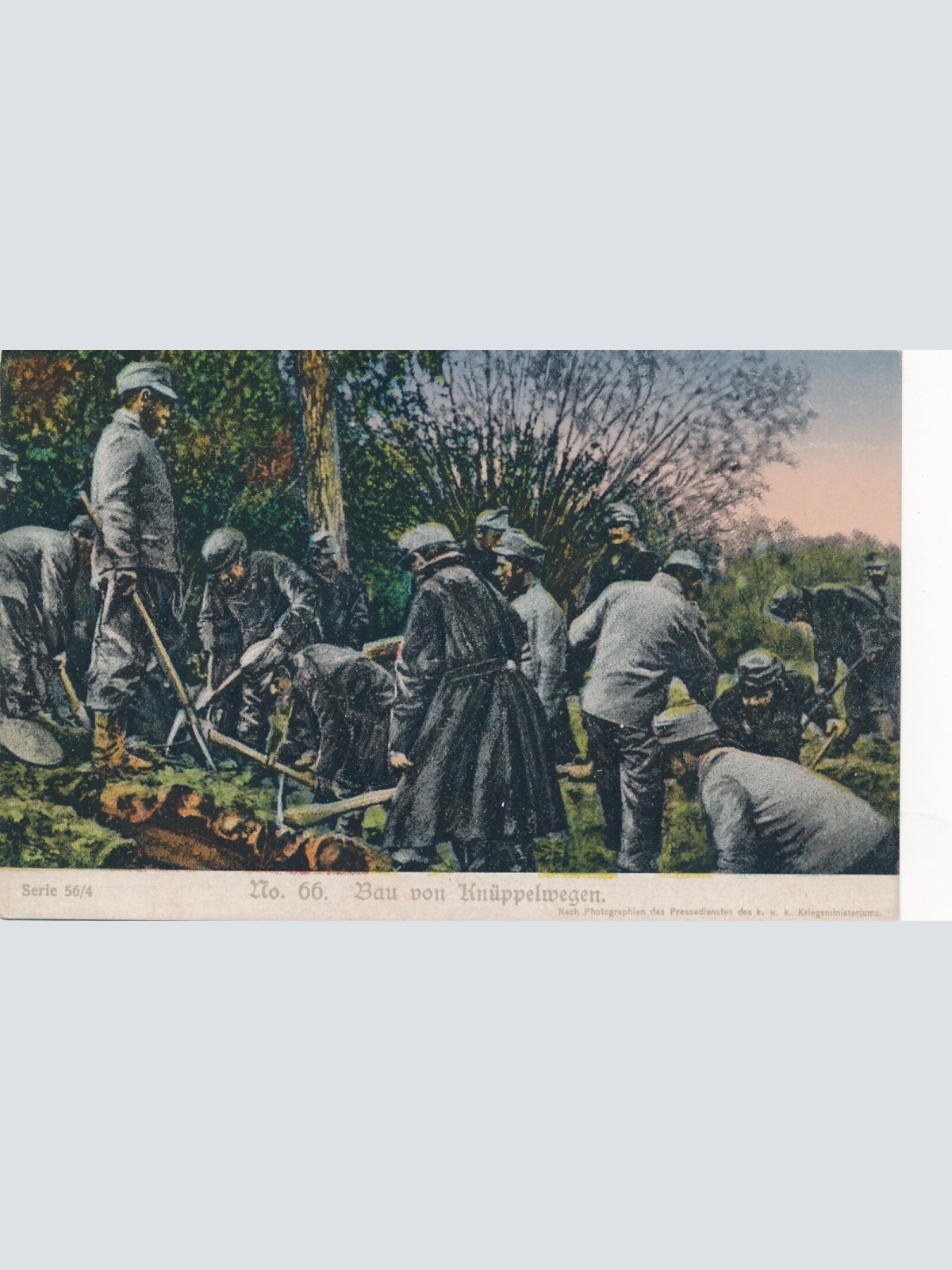 AK Bau von Knüppelwegen Ansichtskarte (13793)