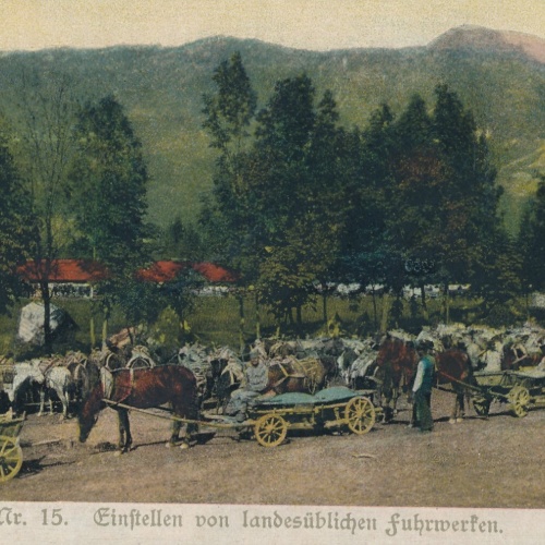 AK Einstellen von Landesüblichen Führwerken Ansichtskarte (13796)