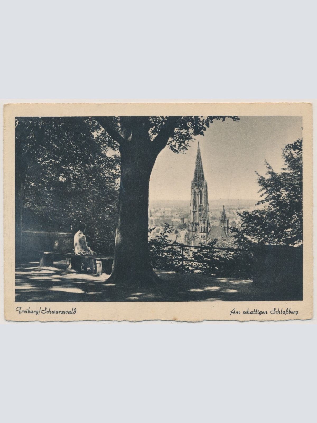 AK, Freiburg, Baden-Württemberg, Ansichtskarte (S3901)