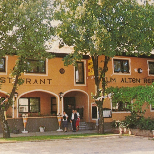 AK, zum alten Rebstock, Frauenkirchen, Burgenland, Ansichtskarte (S3914)