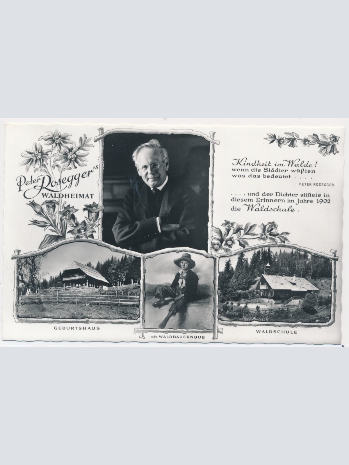 AK, Peter Rosegger's Waldheimat, Steiermark, Ansichtskarte (S3943)