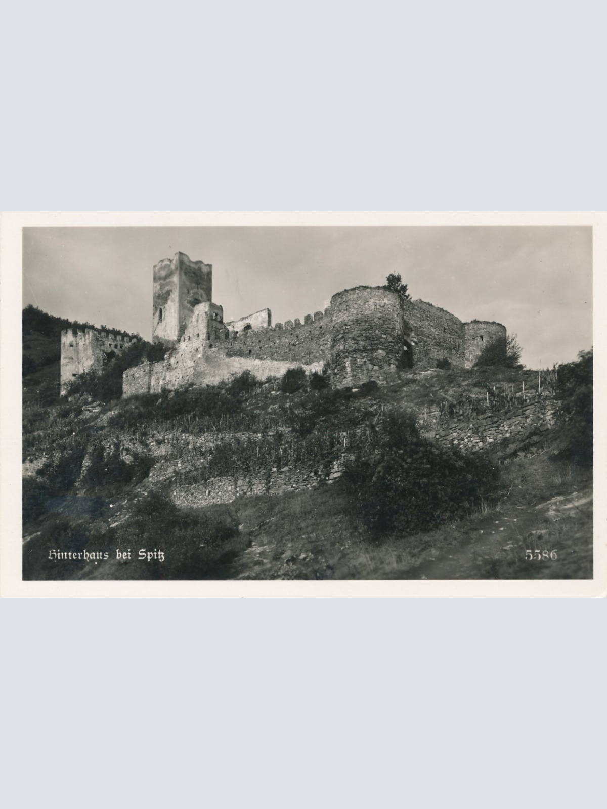 AK, Spitz, Niederösterreich, Ansichtskarte (S4004)