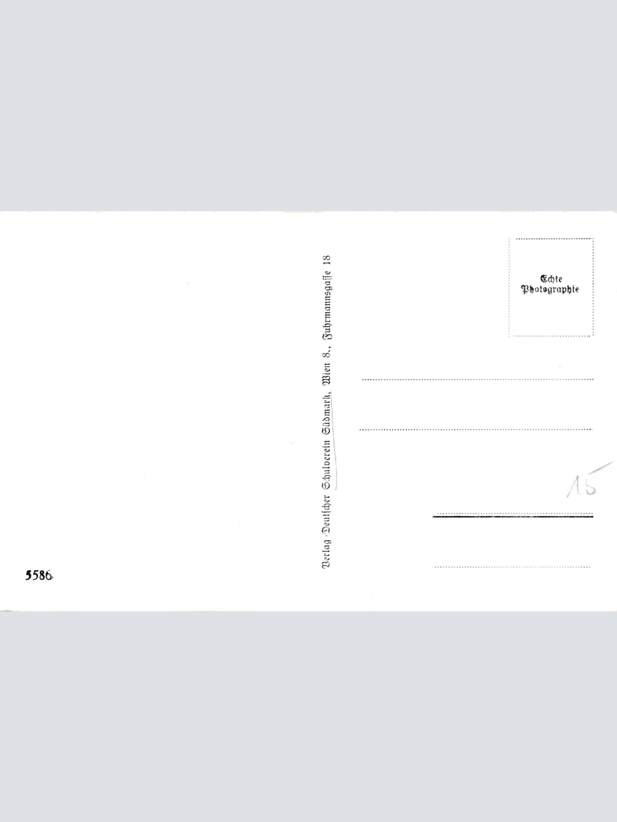 AK, Spitz, Niederösterreich, Ansichtskarte (S4004)