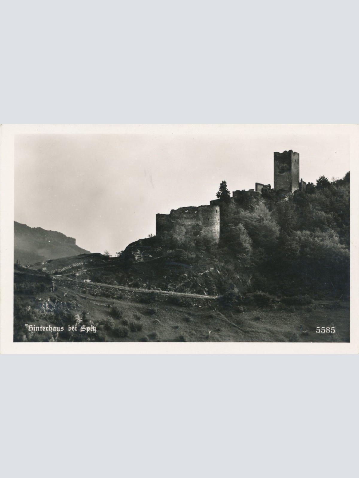 AK, Spitz, Niederösterreich, Ansichtskarte (S4005)