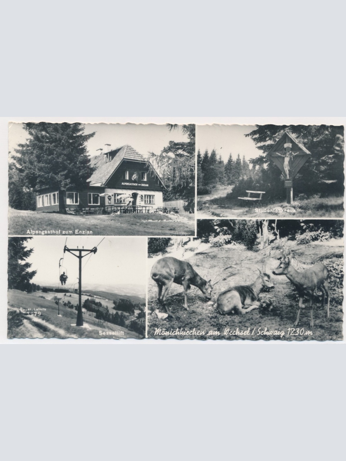 AK, Mönichkirchen, Niederösterreich, Ansichtskarte (S4074)