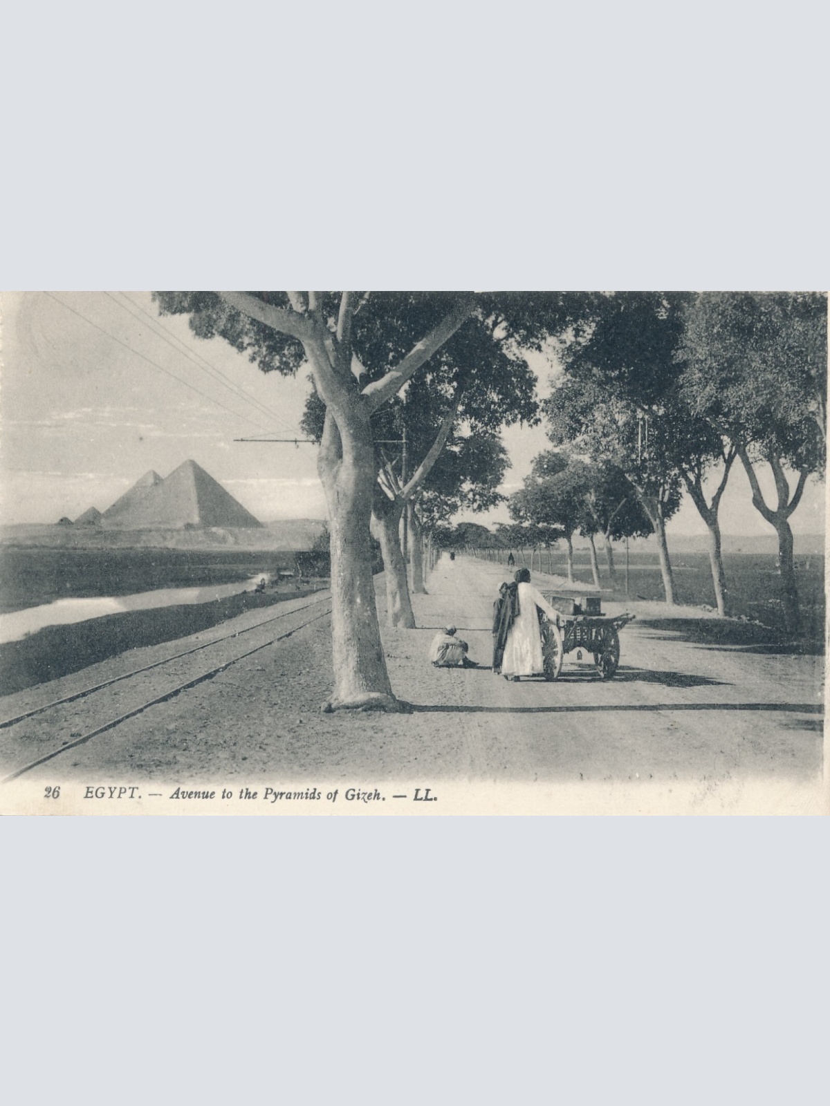 AK, Cairo, Ägypten, Pyramiden von Gizeh, Ansichtskarte (S4101)