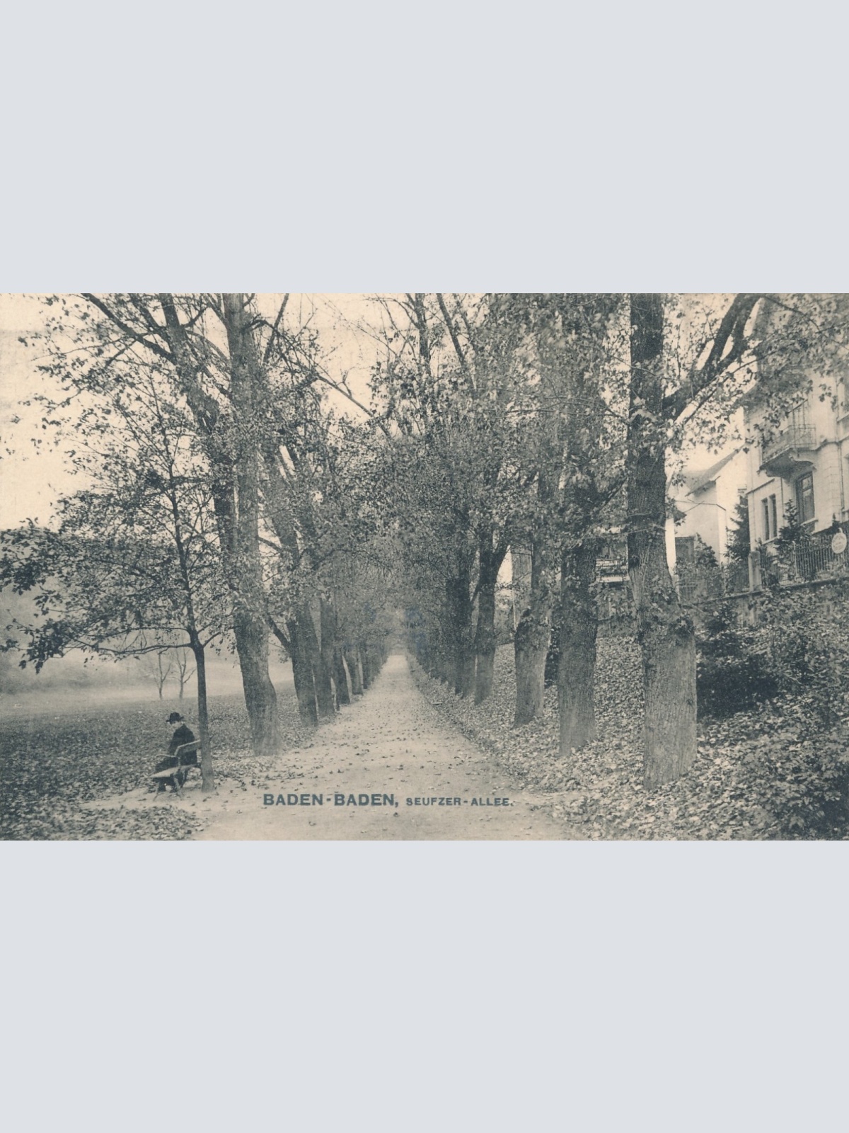 AK, Baden-Baden, Baden-Württemberg, Seufzer Allee, Ansichtskarte (S4285)