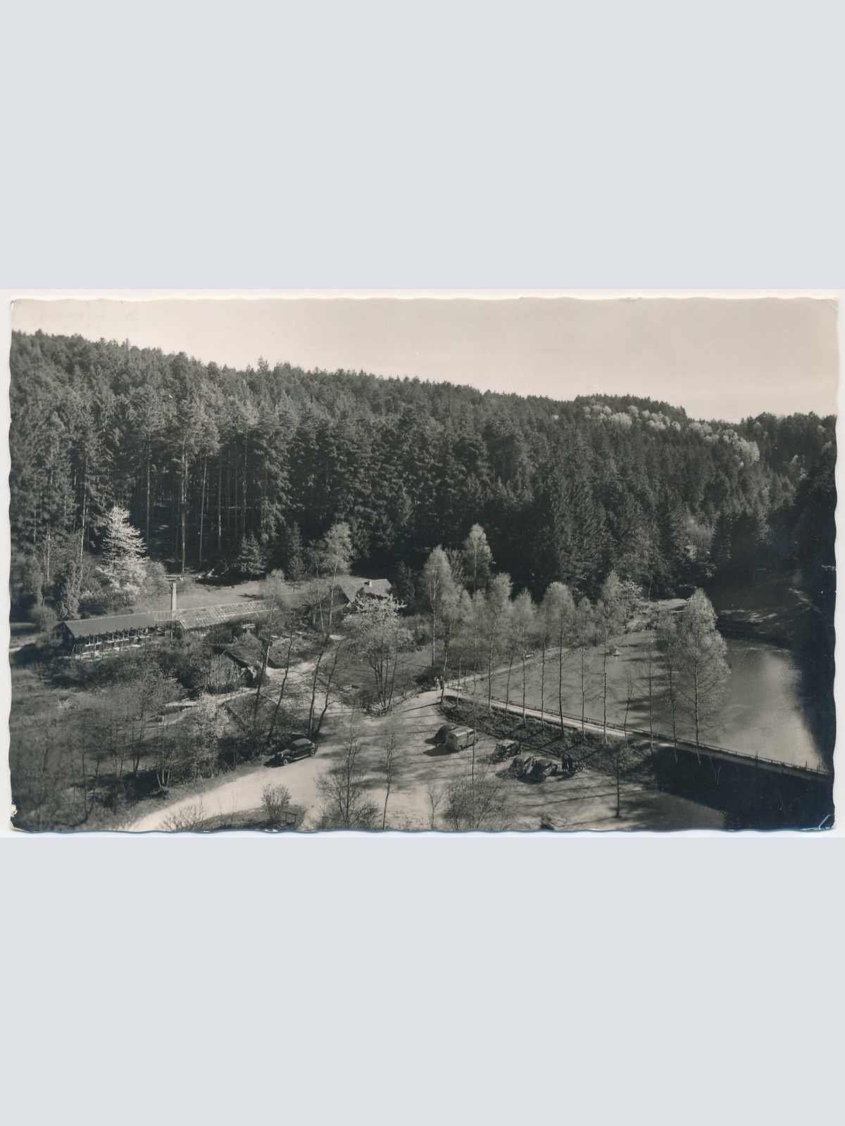 AK, Waldkaffee Muckensee, Lorch, Baden-Württemberg, Ansichtskarte (S4425)