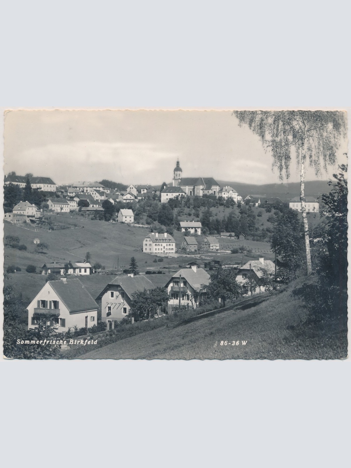 AK, Birkfeld, Steiermark, Ansichtskarte (S4503)