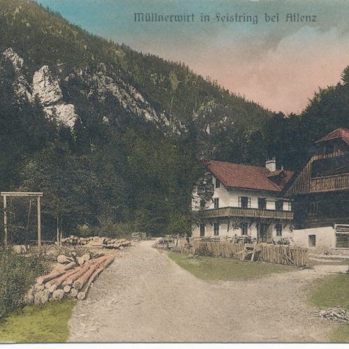 AK vom Müllnerwirt in Feistring bei Aflenz Ansichtskarte (13915)