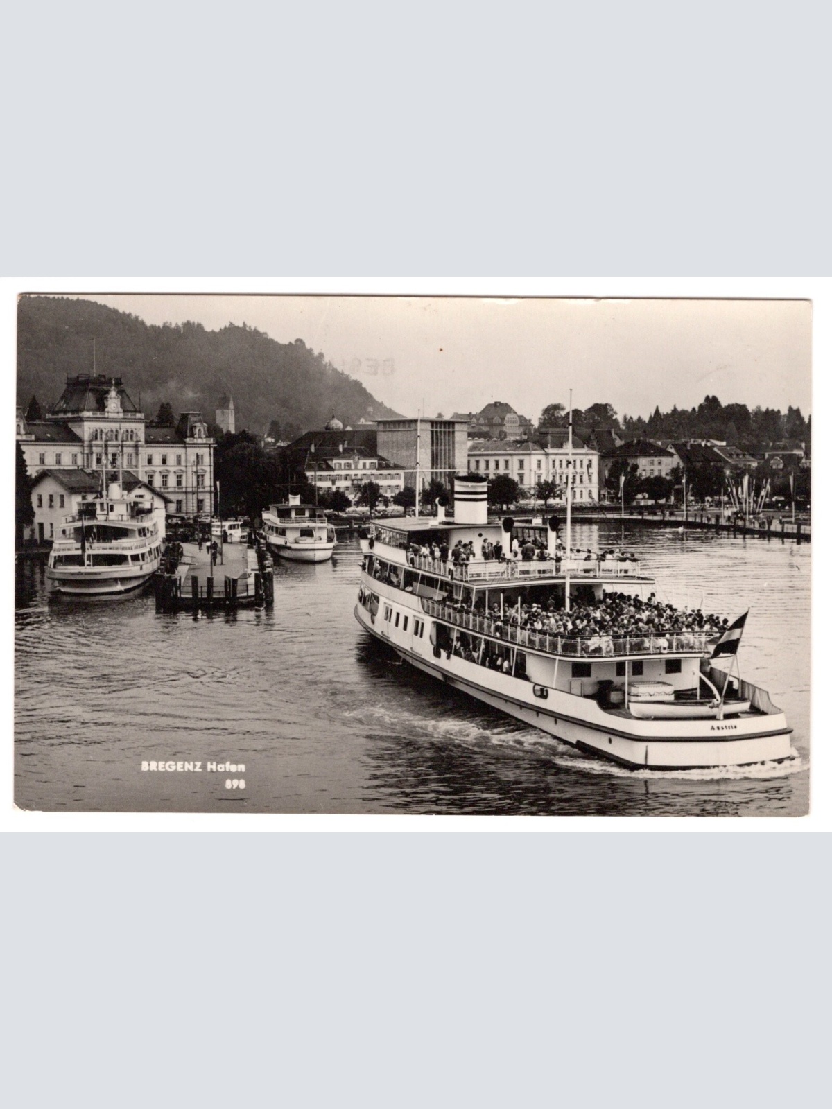 AK, Bregenz, Hafen, Vorarlberg (S4594)