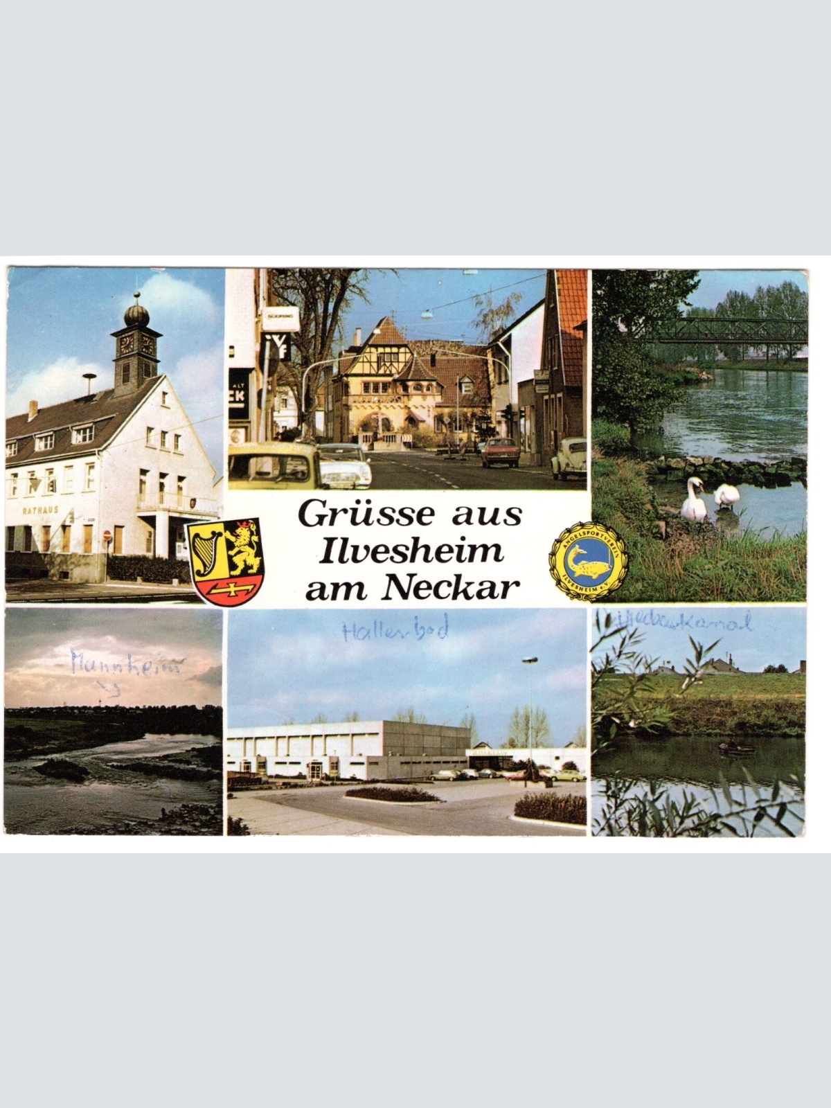 AK, Grüße aus Ilvesheim am Neckar, Baden-Württemberg (S4630)