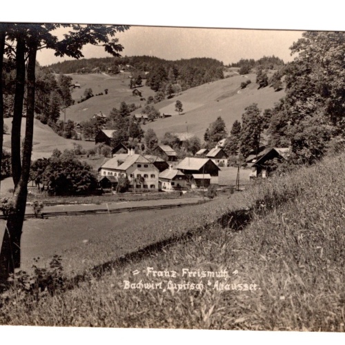 AK, Altaussee, Steiermark,  Ansichtskarte (S4761)