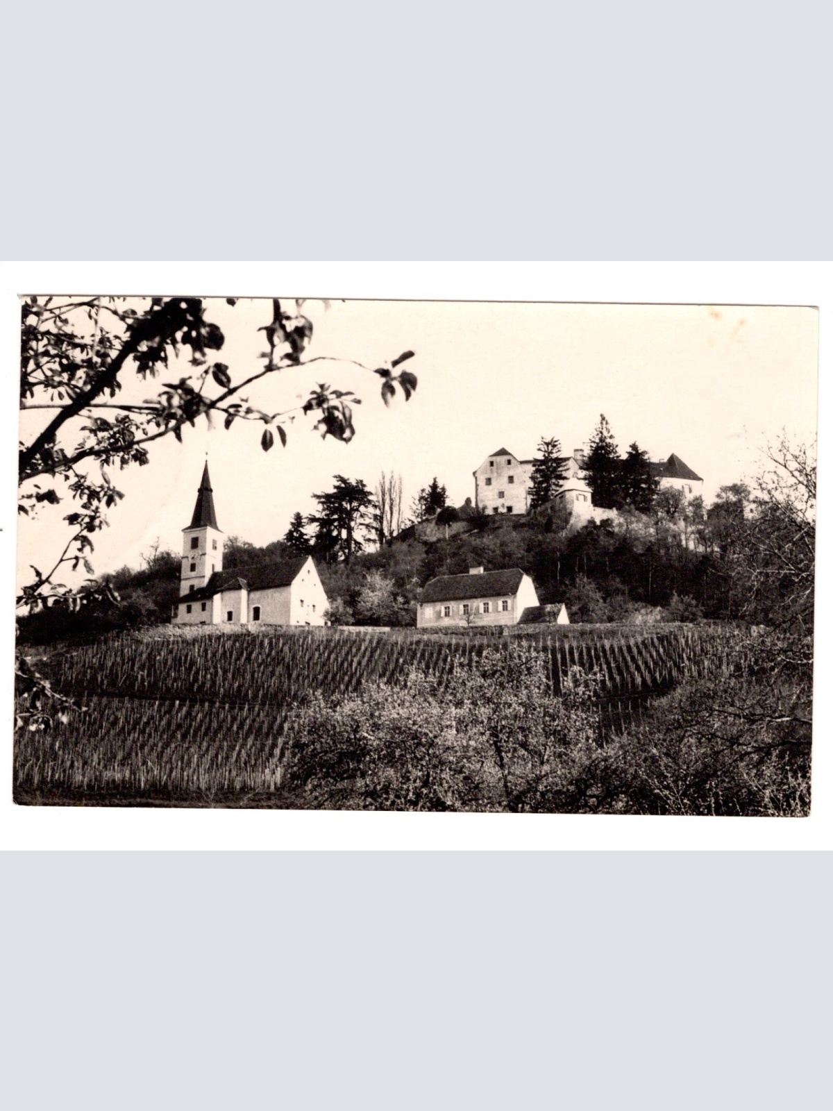 AK, Burg Kapfenstein, Steiermark,  Ansichtskarte (S4784)