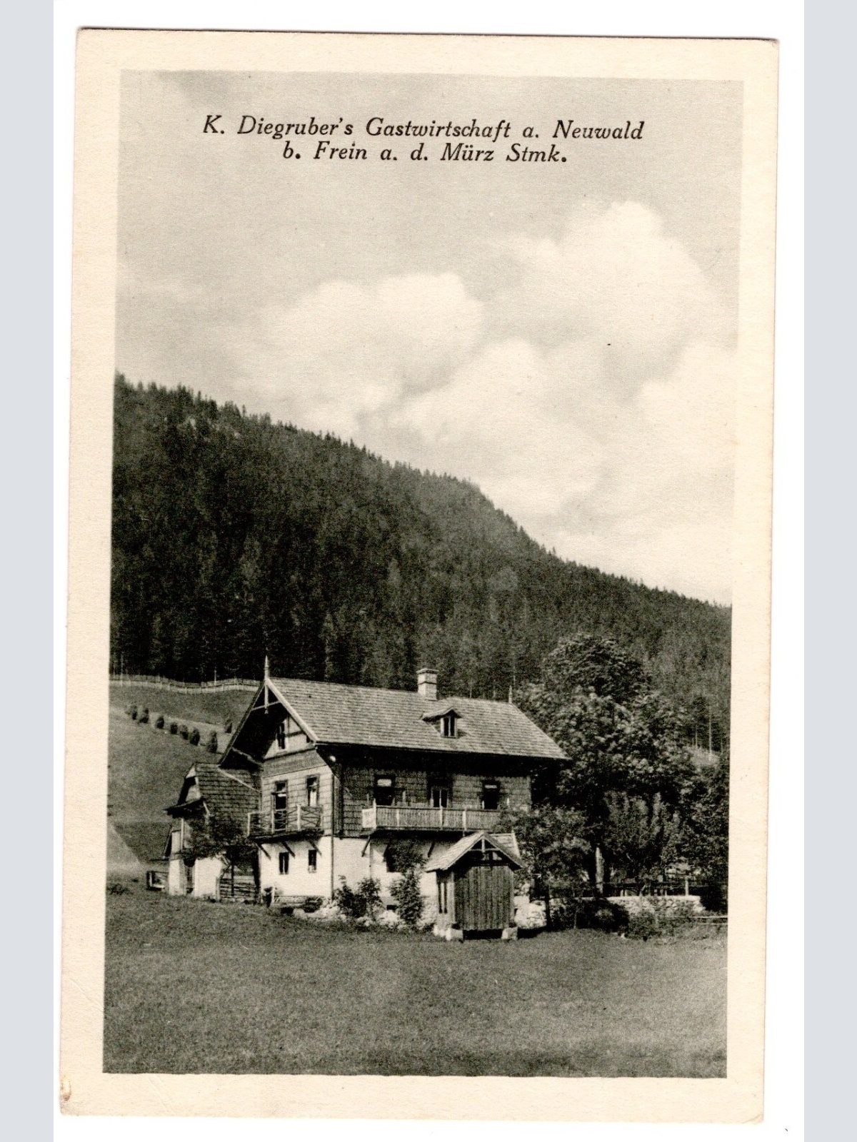 AK, K. Diegruber's Gastwirtschaft, Neuwald, Steiermark, Ansichtskarte (S4943)