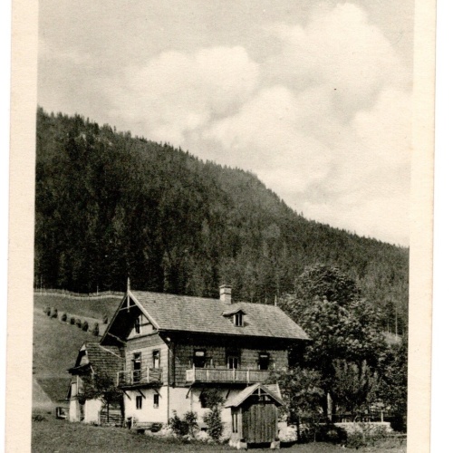 AK, K. Diegruber's Gastwirtschaft, Neuwald, Steiermark, Ansichtskarte (S4943)
