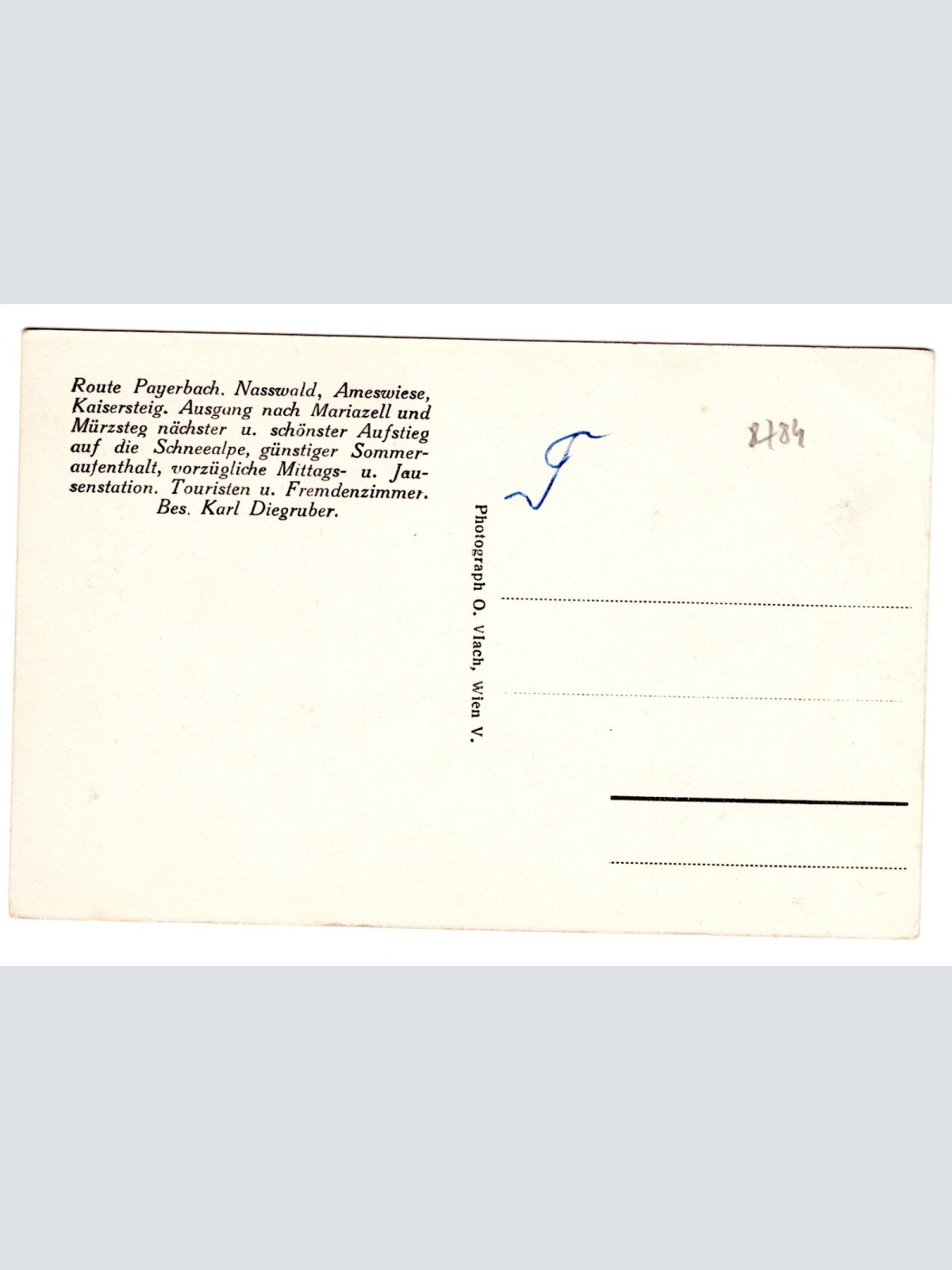 AK, K. Diegruber's Gastwirtschaft, Neuwald, Steiermark, Ansichtskarte (S4943)