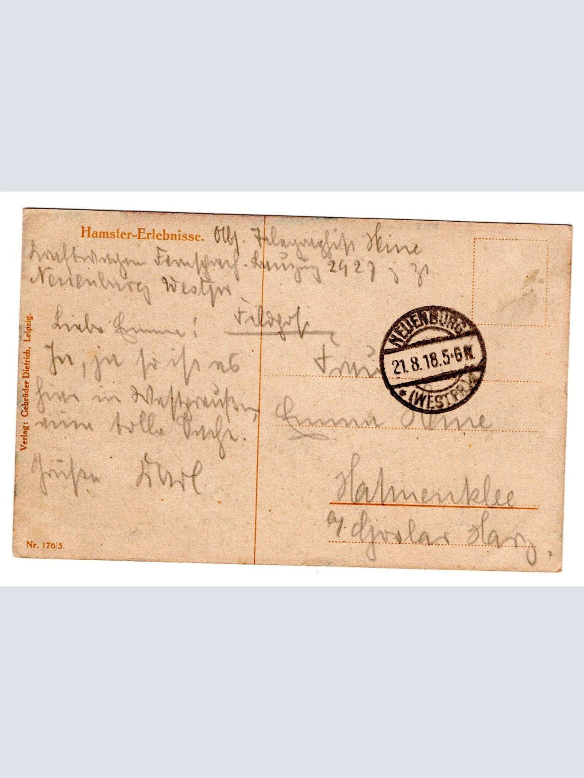 AK, Meiers Gutshof, Hamster Erlebnisse, Ansichtskarte (S5056)