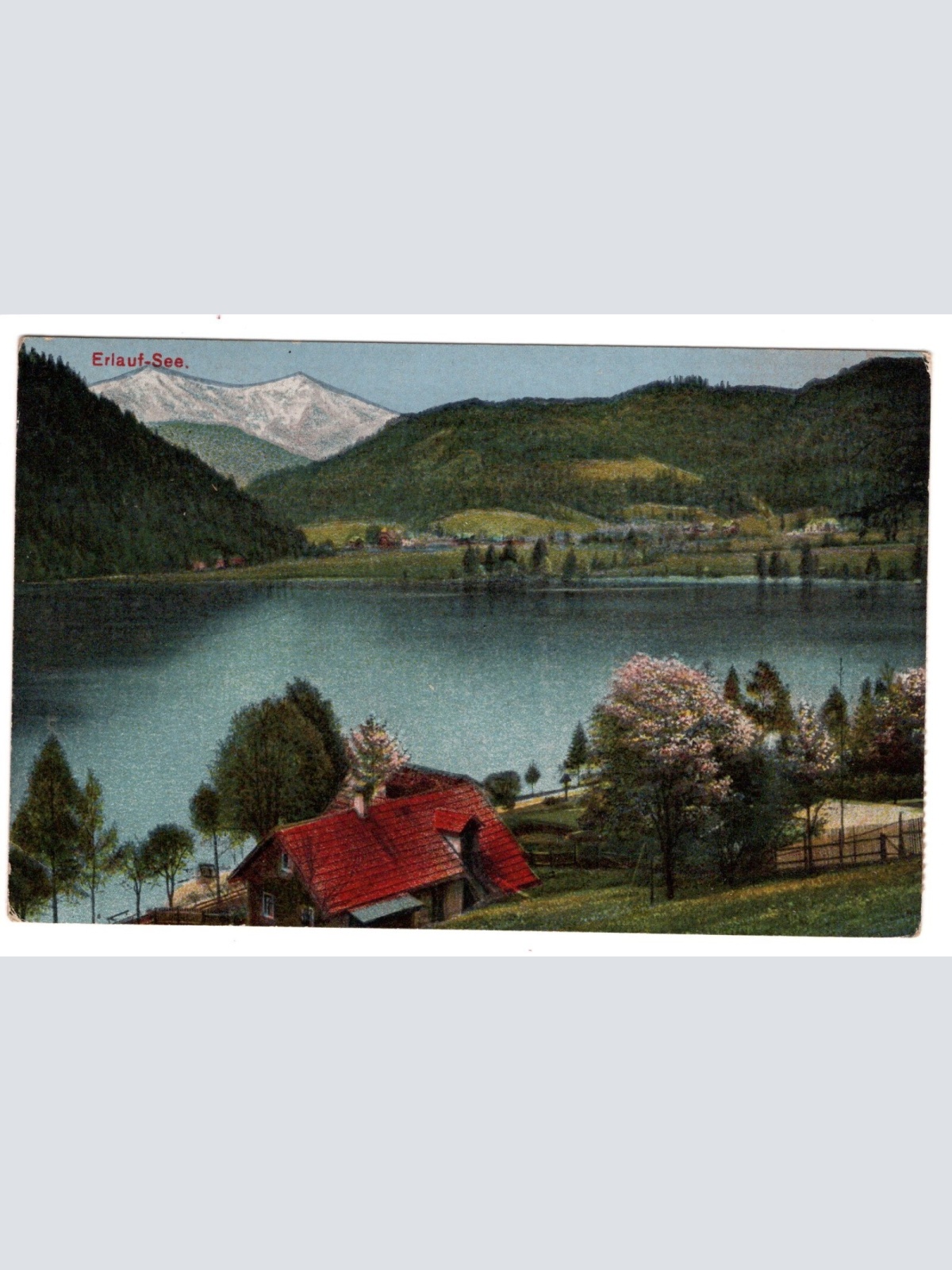 AK, Erlauf-See, Steiermark, Ansichtskarte (S5077)