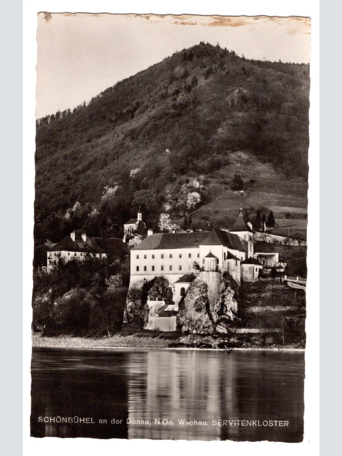 AK, Schönbühel an der Donau, Niederösterreich, Ansichtskarte (S5144)