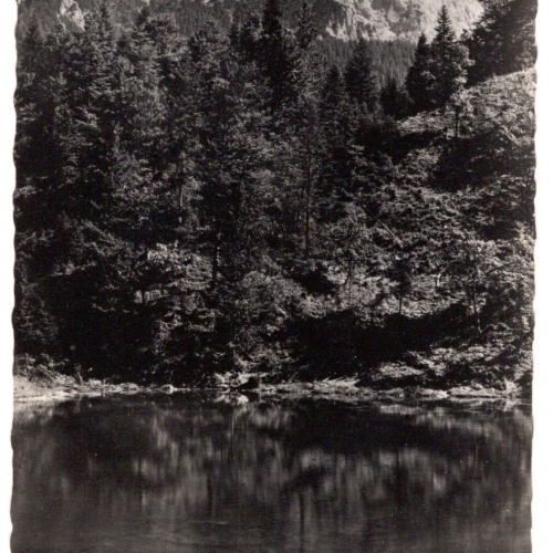 AK, Wildalpen, Steiermark, Ansichtskarte (S5175)