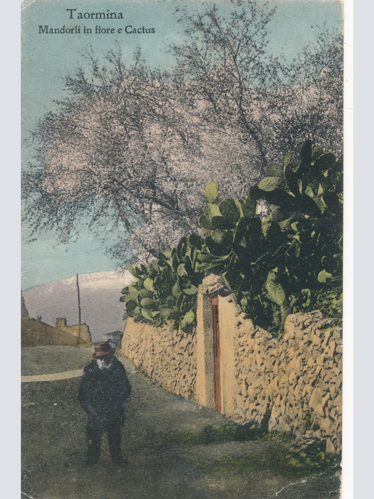 AK aus Taormina Mandorli in fiore e Cactus Italien Ansichtskarte (14291)