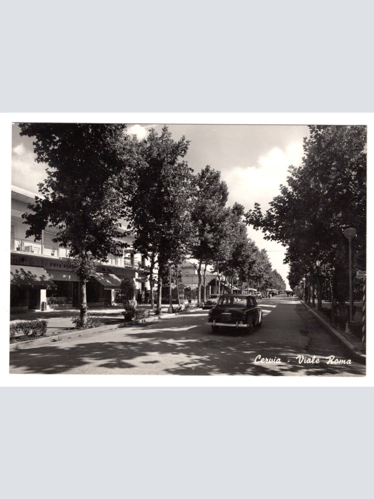 AK, Cervia, Viale Roma, Italien, Ansichtskarte (S5260)