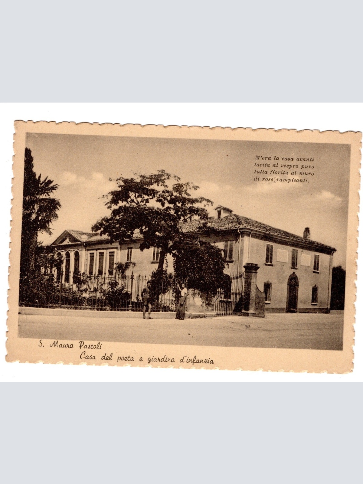 AK, San Mauro Pascoli, Italien, Ansichtskarte (S5289)