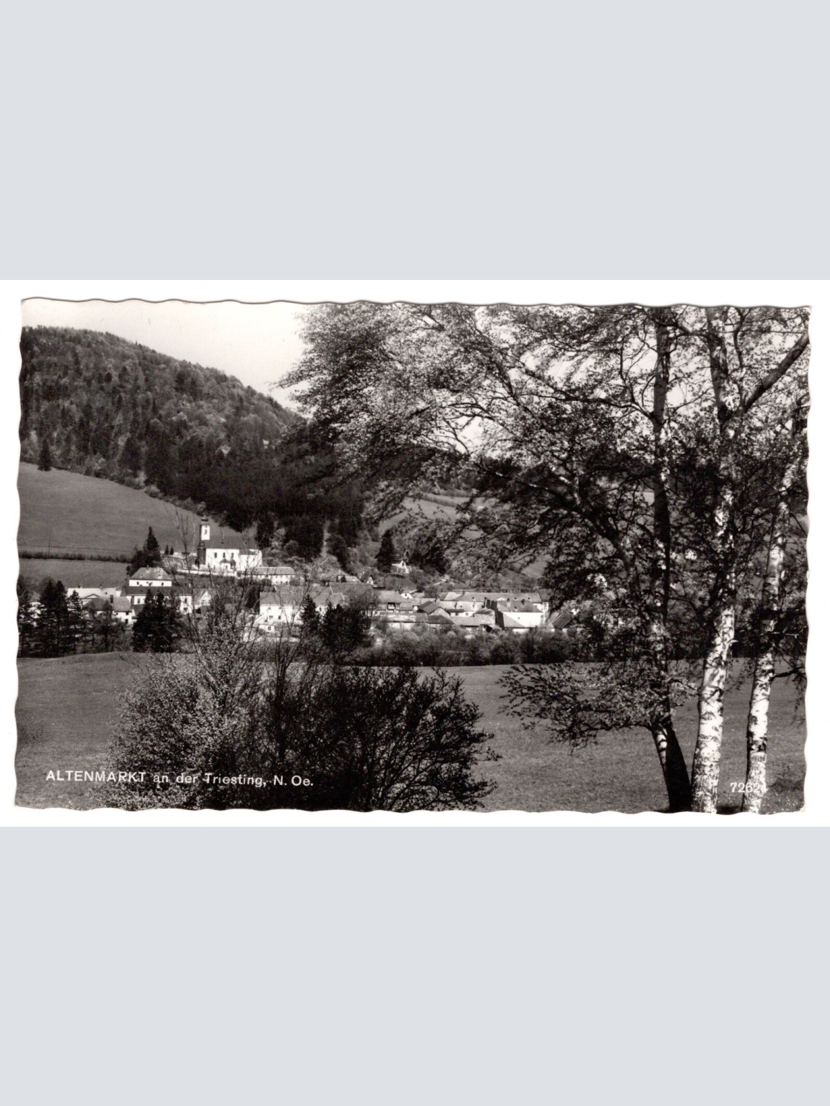 AK, Altenmarkt an der Triesting, Niederösterreich, Ansichtskarte (S5349)