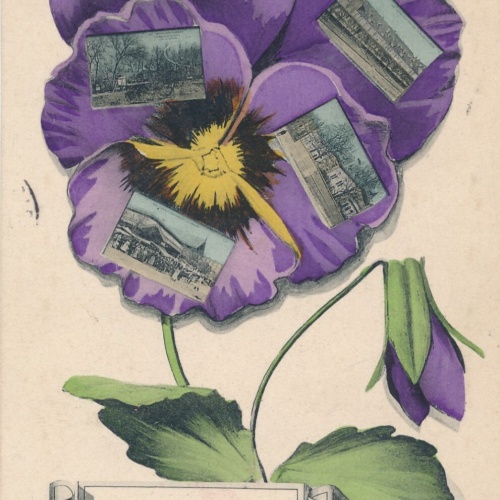 Feilchen AK aus Levallois Perret Frankreich Ansichtskarte (14095)