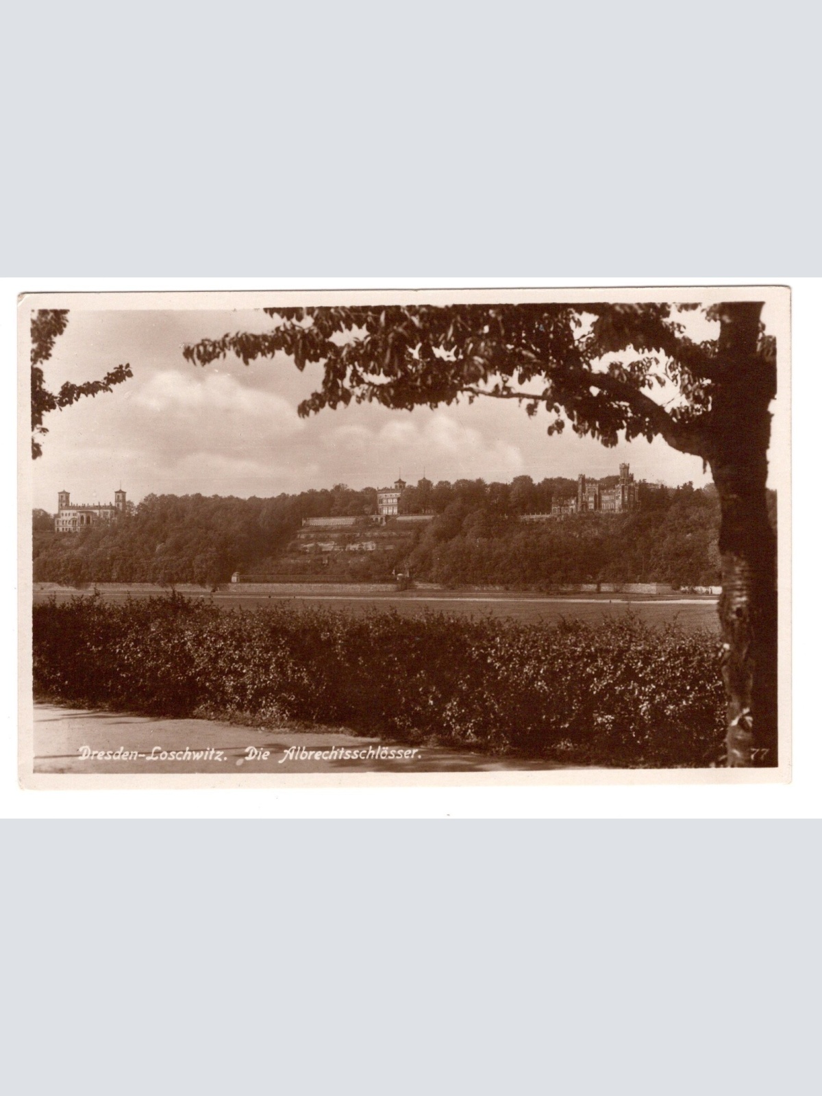 AK, Dresden-Loschwitz, die Albrechtsschlösser, Sachsen, Ansichtskarte (S5527)