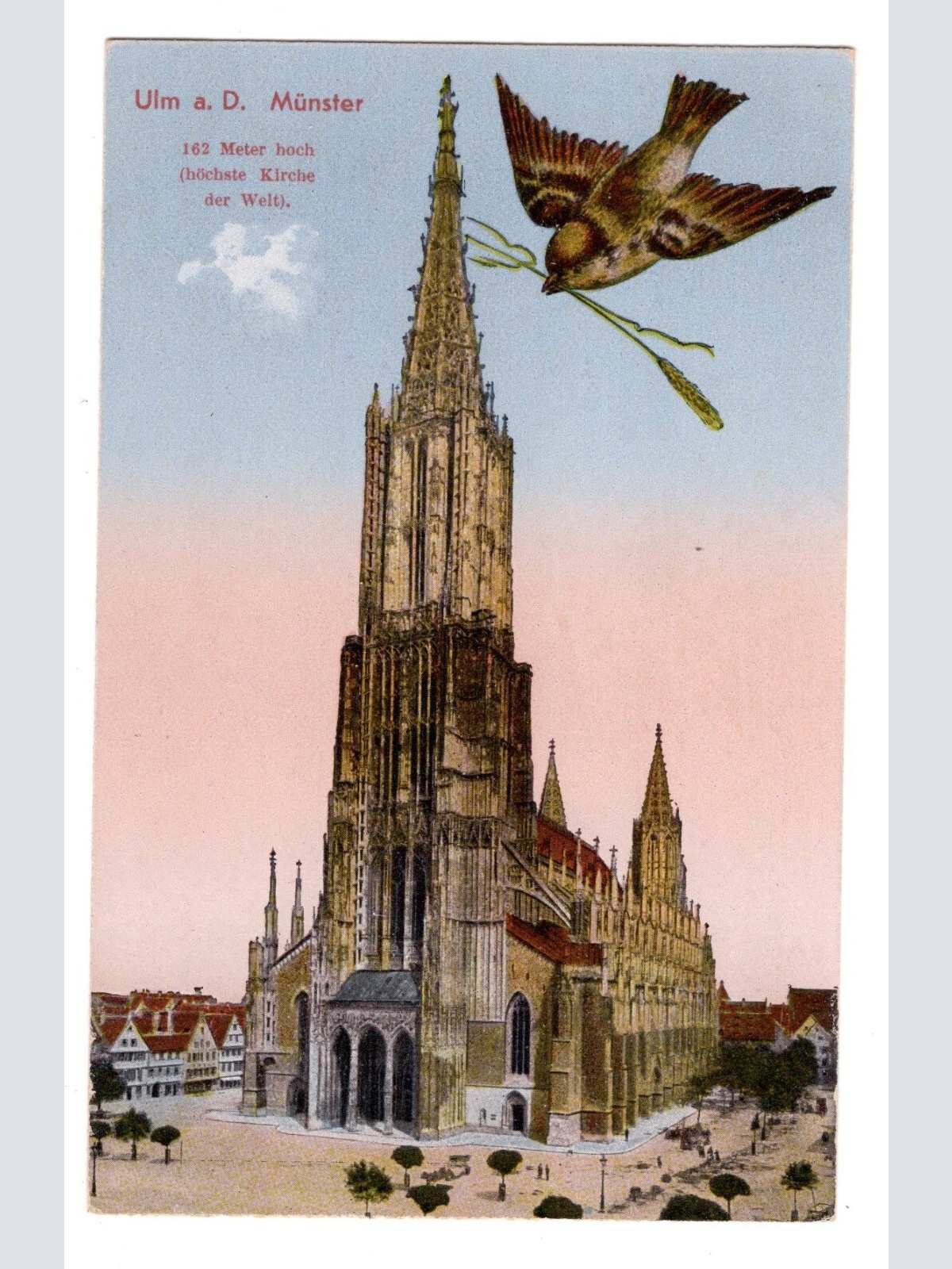 AK, Ulm, Baden-Württemberg, Münster, Ansichtskarte (S5561)