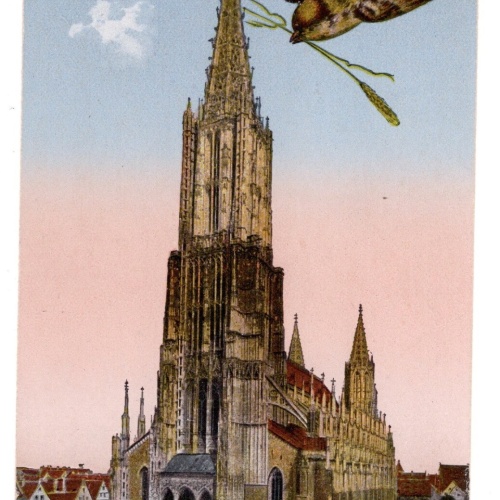 AK, Ulm, Baden-Württemberg, Münster, Ansichtskarte (S5561)