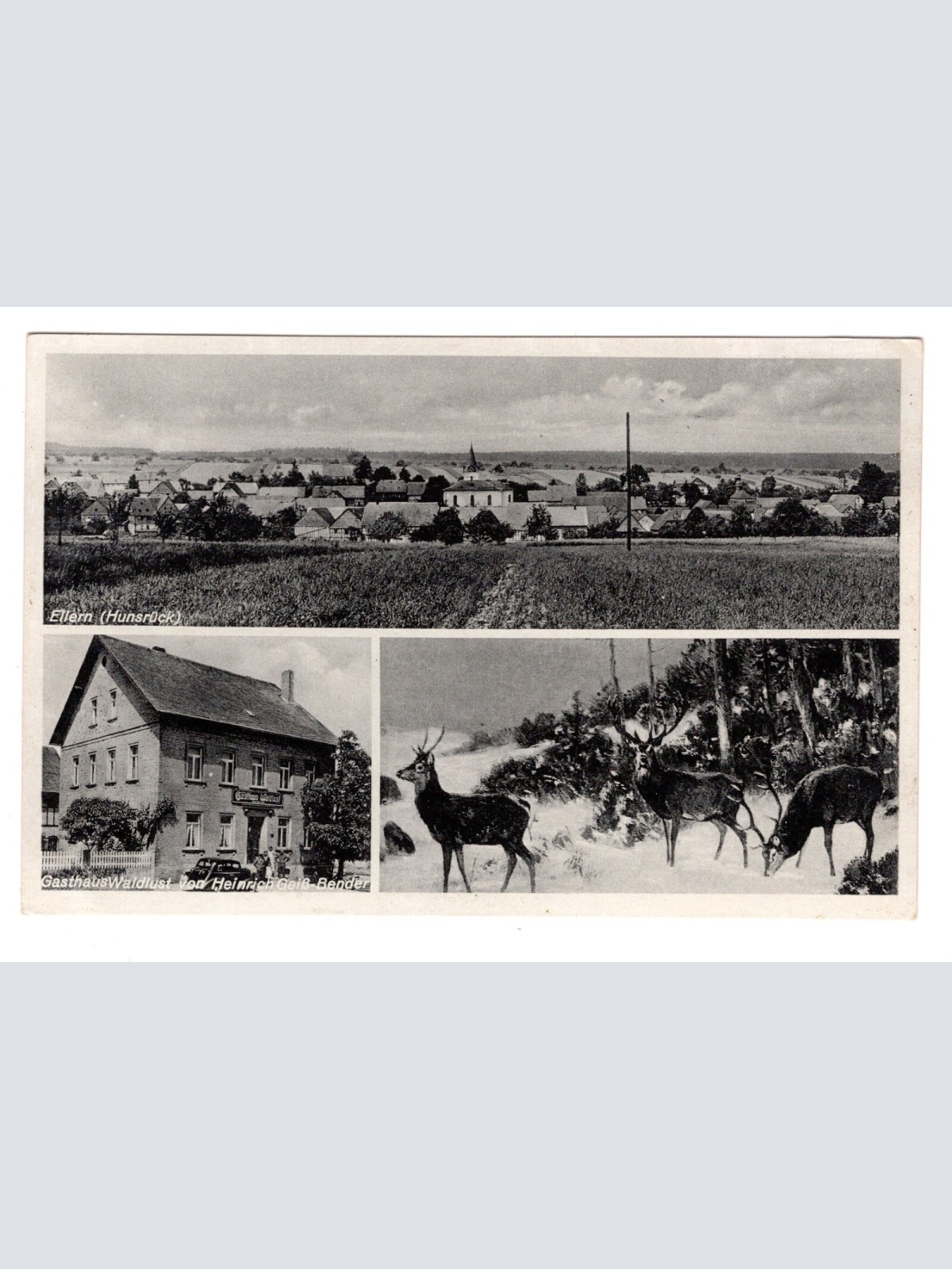 AK, Rheinland-Pfalz, Ellern (Hunsrück), Ansichtskarte (S5726)