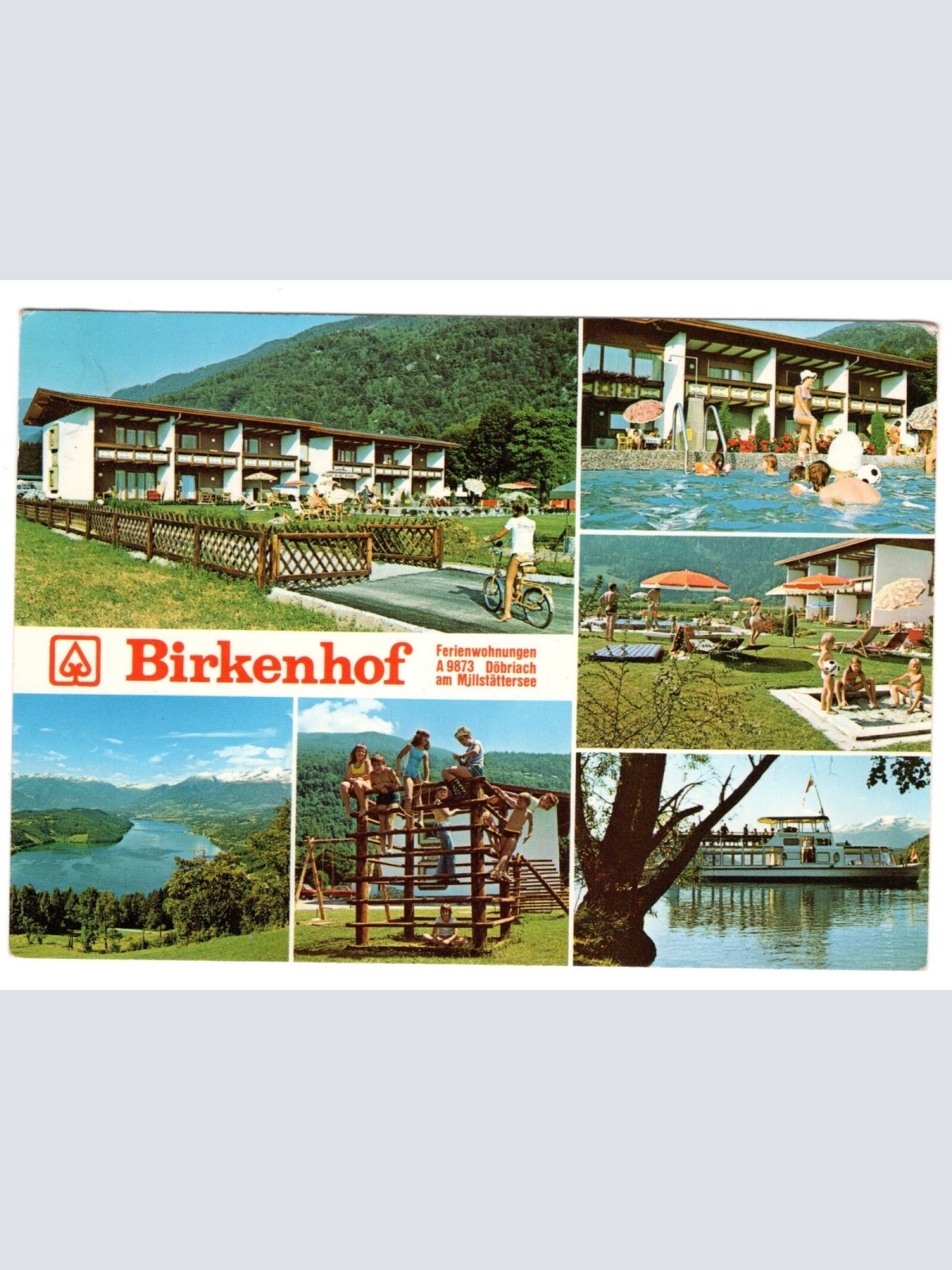 AK, Döbriach am Millstättersee, Birkenhof, Kärnten, Ansichtskarte (S5764)