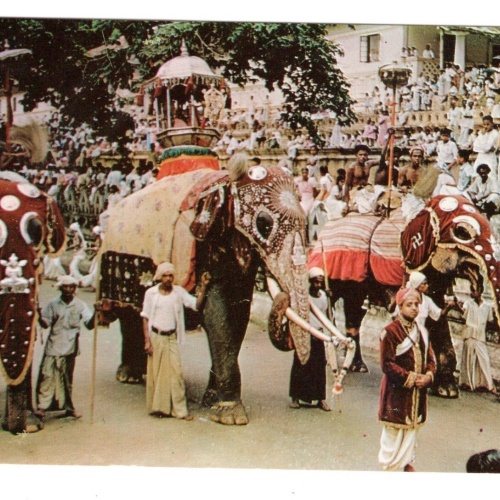 AK, Sri Lanka, Ceylon, Ansichtskarte (S5789)