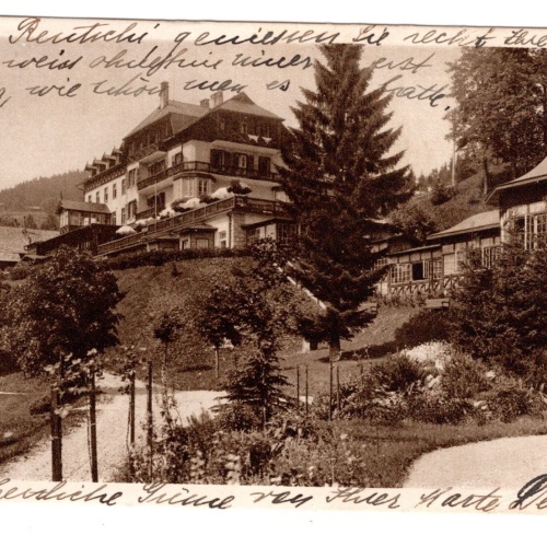 AK, Hotel Gösing, Niederösterreich, Ansichtskarte (S5791)