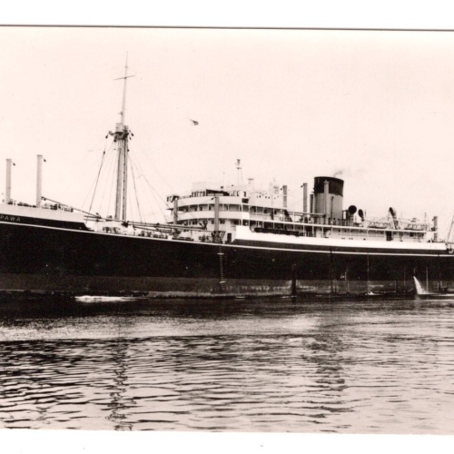 AK, m.s. Waipawa, Ansichtskarte (S5904)