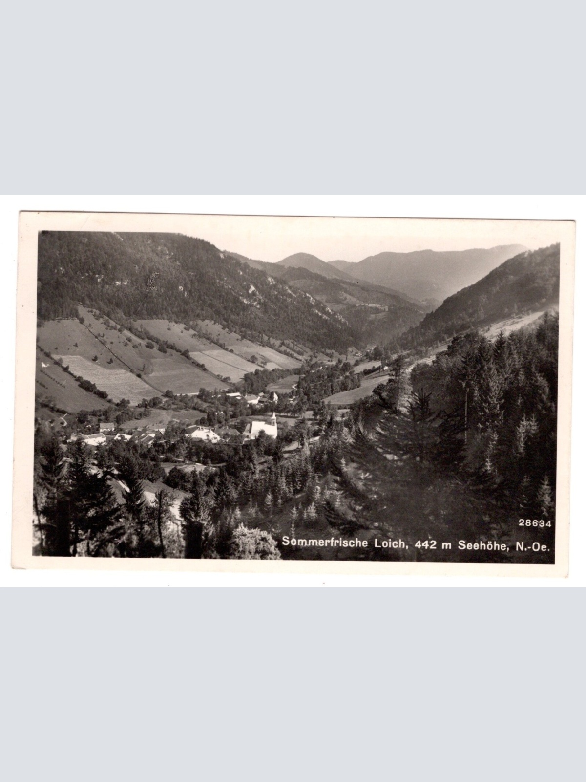 AK, Loich, Niederösterreich, Ansichtskarte (S5934)