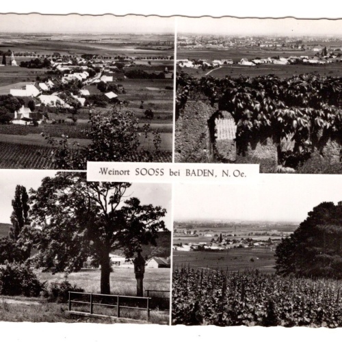 AK, Sooß bei Baden, Niederösterreich, Ansichtskarte (S5941)