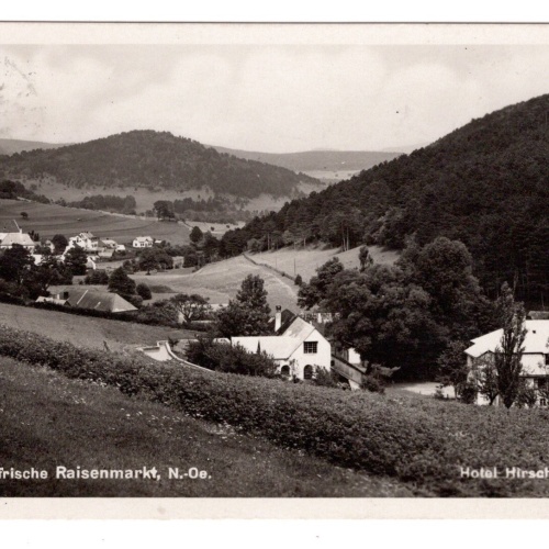 AK, Raisenmarkt, Niederösterreich, Ansichtskarte (S5943)