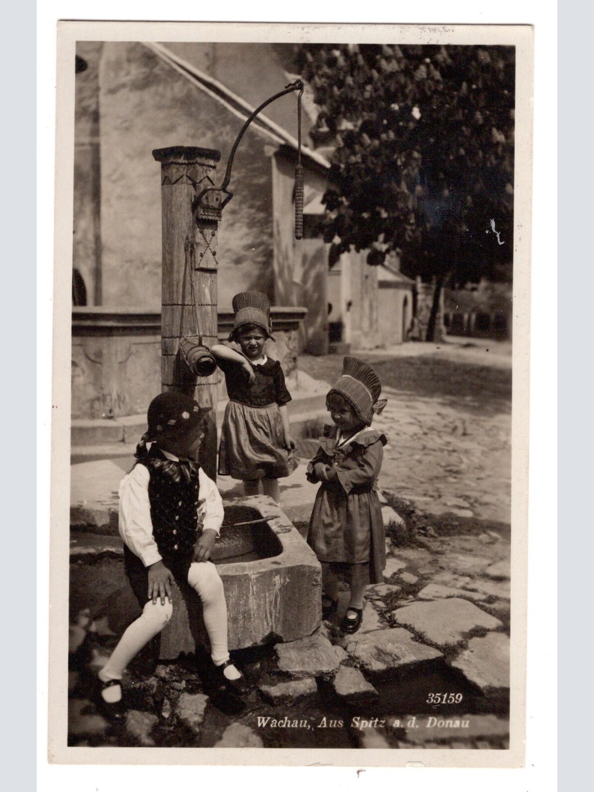 AK, Spitz an der Donau, Niederösterreich, Ansichtskarte (S5956)