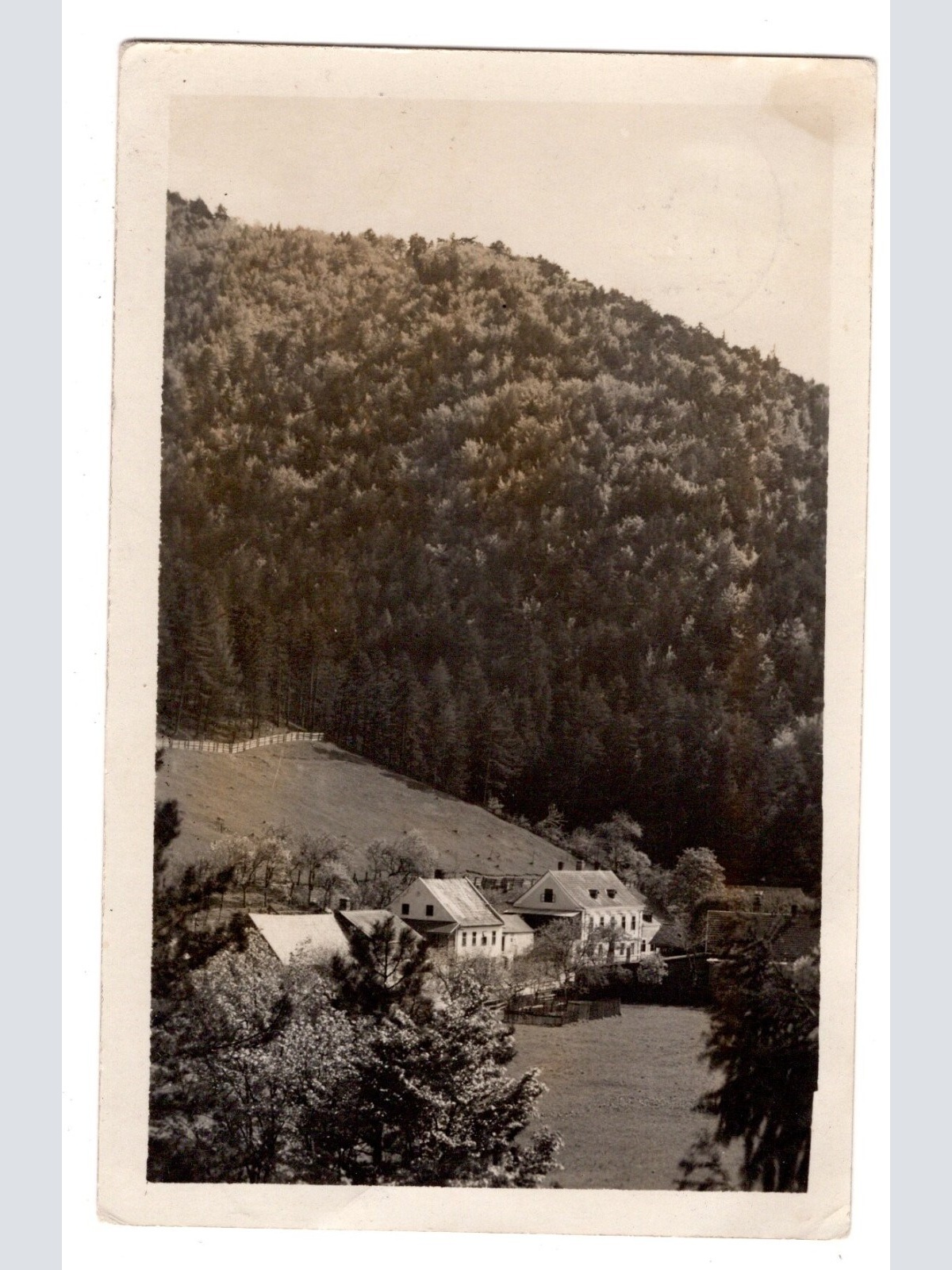 AK, Furth an der Triesting, Niederösterreich, Ansichtskarte (S5973)