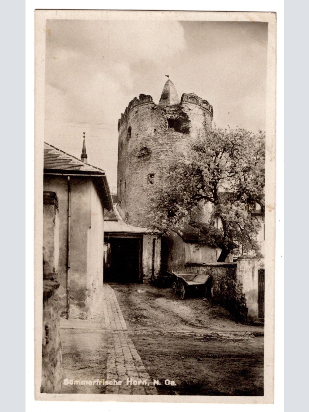 AK, Horn, Niederösterreich, Ansichtskarte (S5990)